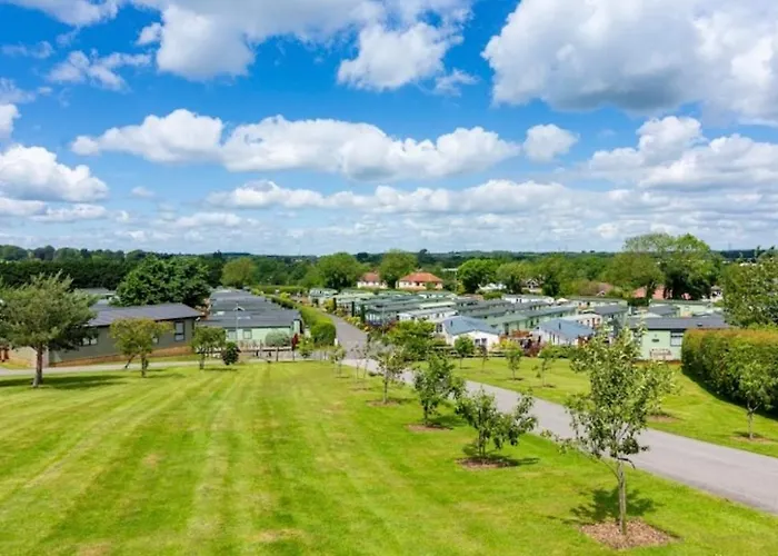 The Celestial Camping *