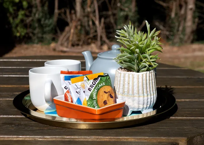 Camping The Celestial